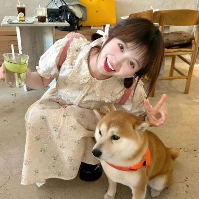 爱乱伴侣